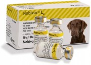 В-на Нобивак L4, 1 доза, Иммунизация против  лептоспироза собак (нового поколения) вакцина Нобивак L4 в три раза эффективнее вакцины предыдущего поколения Нобивак Lepto