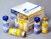 Эурикан DHHPPi+L 2 фл.(1доза) Вакцина «Эурикан DHPPI2-L» Иммунизация собак против чумы плотоядных, парвовирусного энтерита, гепатита, парагриппа и лептоспироза