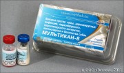 МУЛЬТИКАН-8 Вакцинация в клинике с оформлением (Вакцина против чумы, аденовирусных инфекций, парвовирусного и Короновирусного энтеритов, лептоспироза и бешенства собак), фл. 2 мл (1 доза)