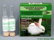 Вакцина ВГБКМ (вакцинация в клинике) ассоциированная сухая для кроликов, 1 шт.  (Профилактика вирусной геморрагической болезни и миксоматоза)