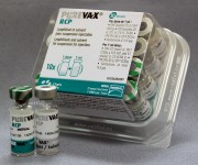Пуревакс RCP вакцина против панлейкопении, инфекционного ринотрахеита и калицивирусной инфекции кошек