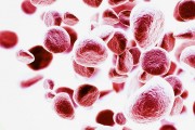 ЛЮБЫЕ ГЕНЕТИЧЕСКИЕ ТЕСТЫ в Брянске в Умке с выдачей официального сертификата ☎ 8(4832)400-199; 8(920)603-23-23; 8(4832)320-503; 8(920)603-05-05